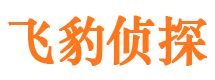 江油市私人侦探